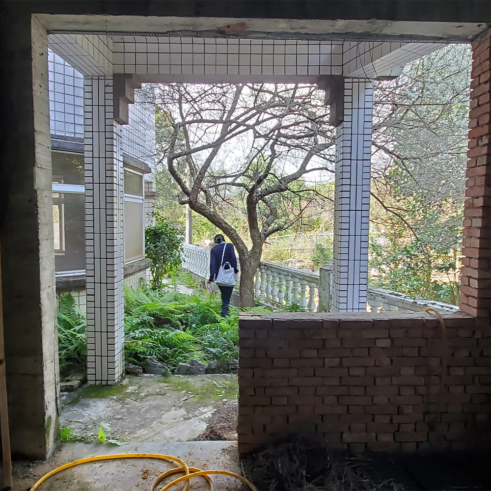 看屋